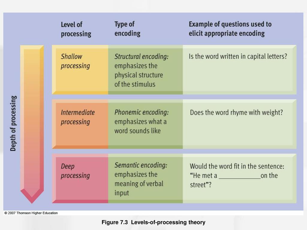 Lvl of processing theory